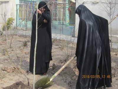 مراسم درختکاری در موسسه آموزش عالی حوزوی زینبیه